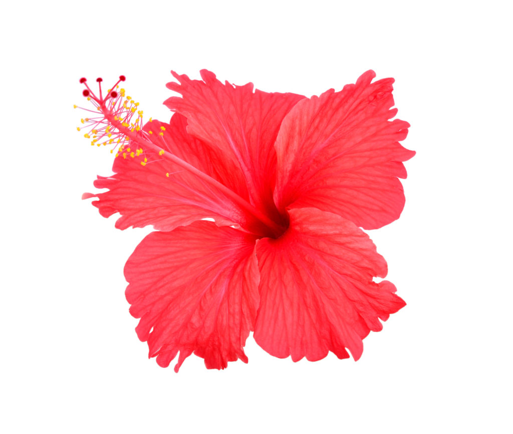 Does beard oil really work? Does beard oil really work?